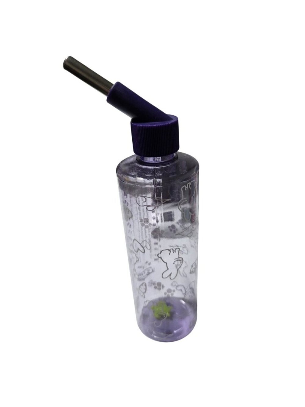 Small Animal Water Bottle Purple Fun Illustrations Green Turtle Float Animal